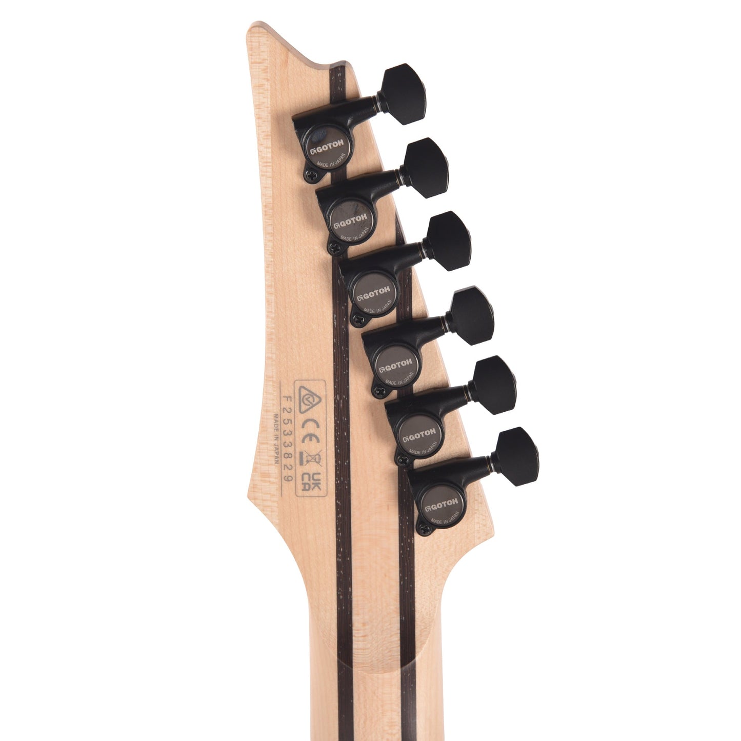 Ibanez RG8620AHAGF RG J. Custom Electric Guitar Anvil Gray Burst Flat