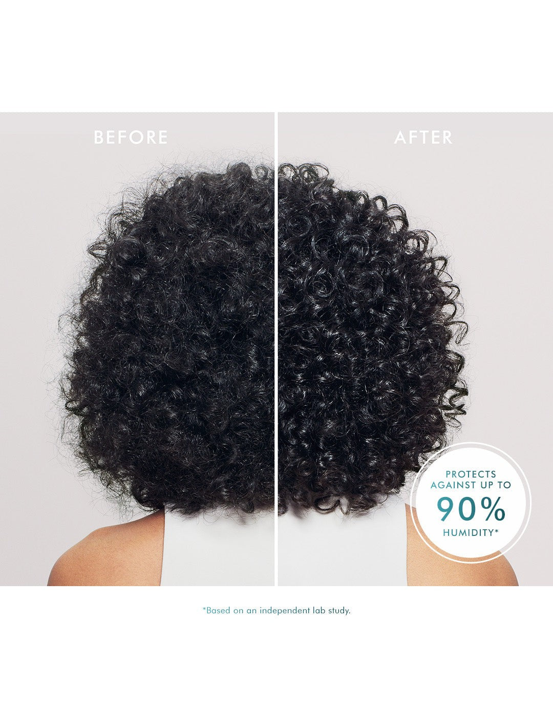 Frizz Shield Spray