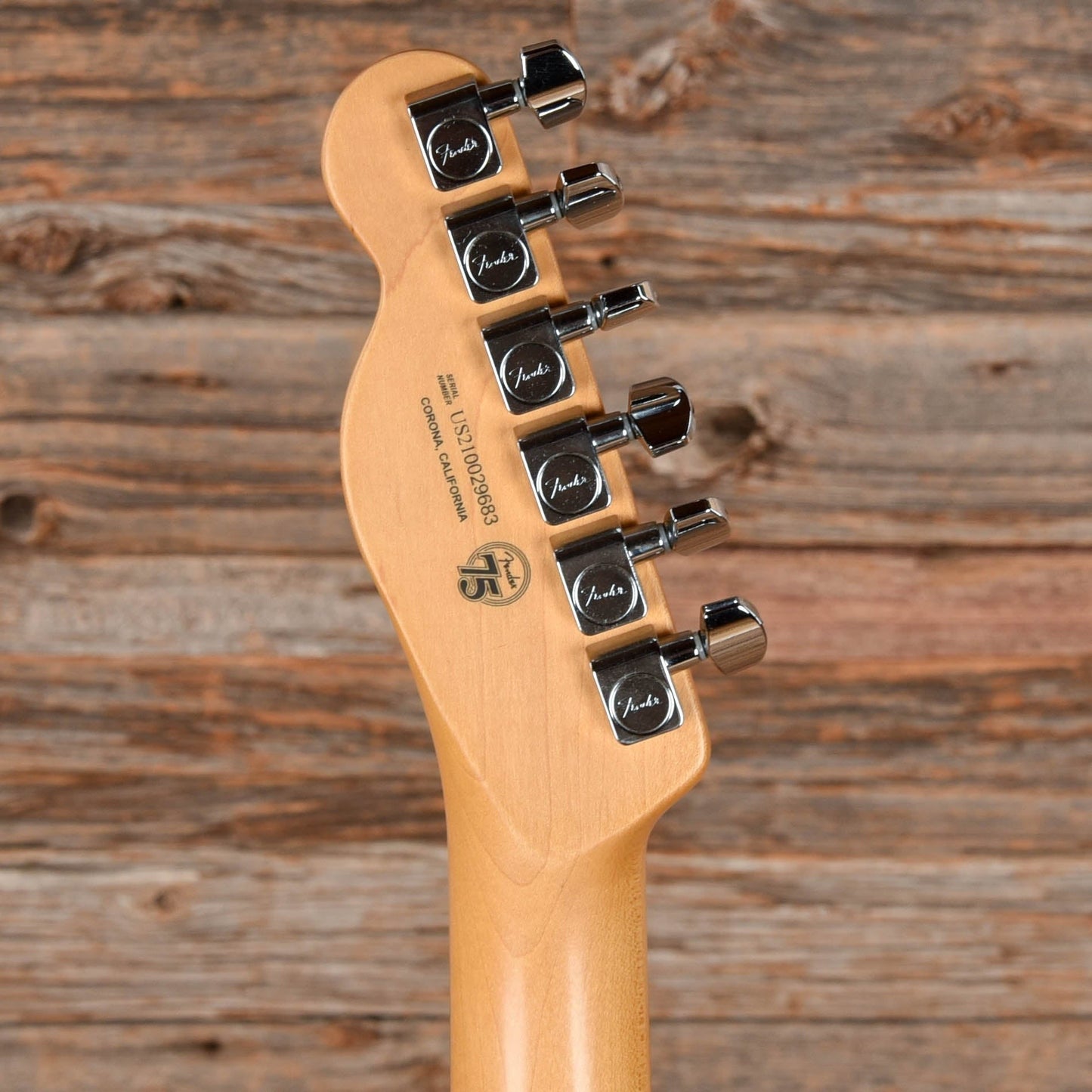 Fender American Professional II Telecaster Dark Night 2021