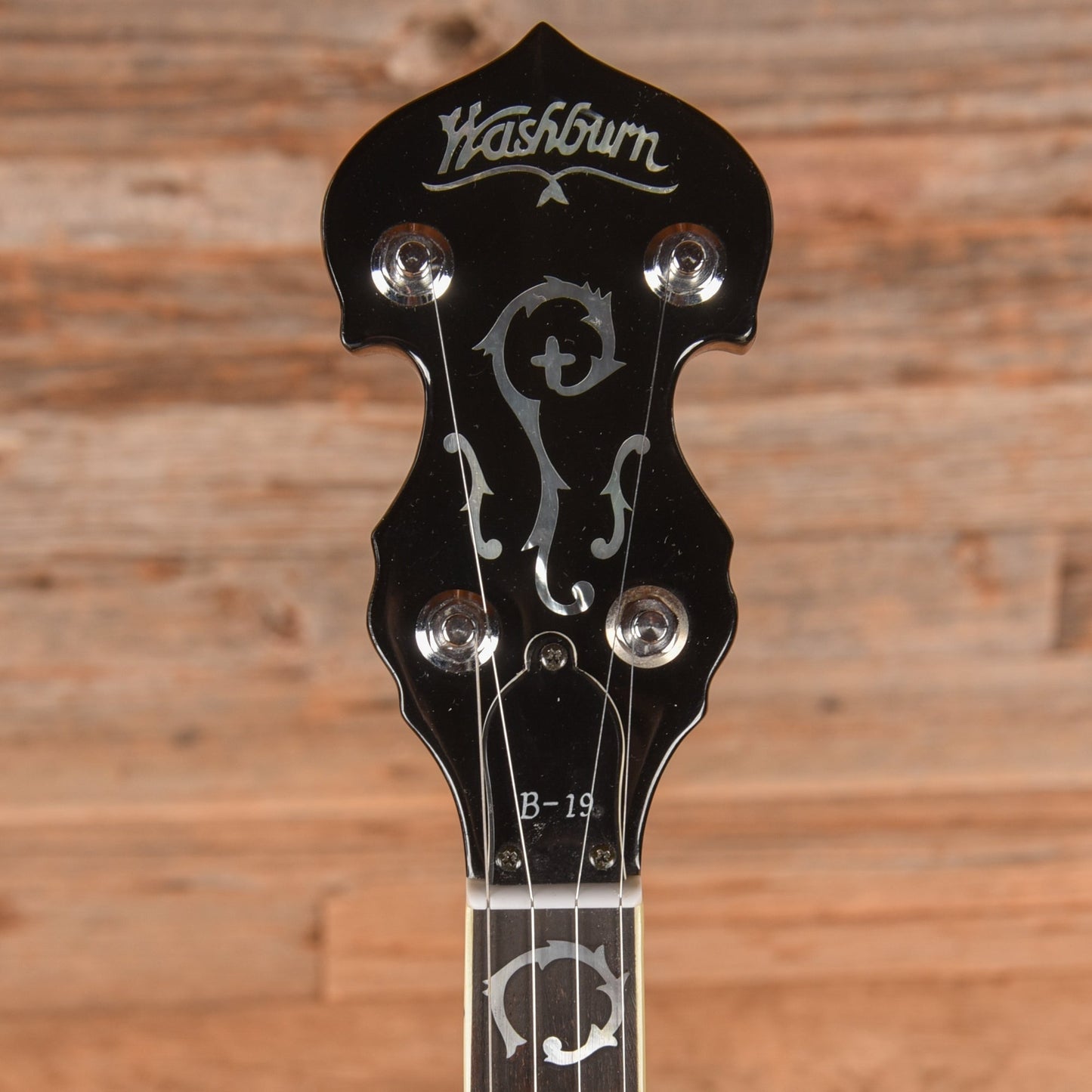 Washburn B-19