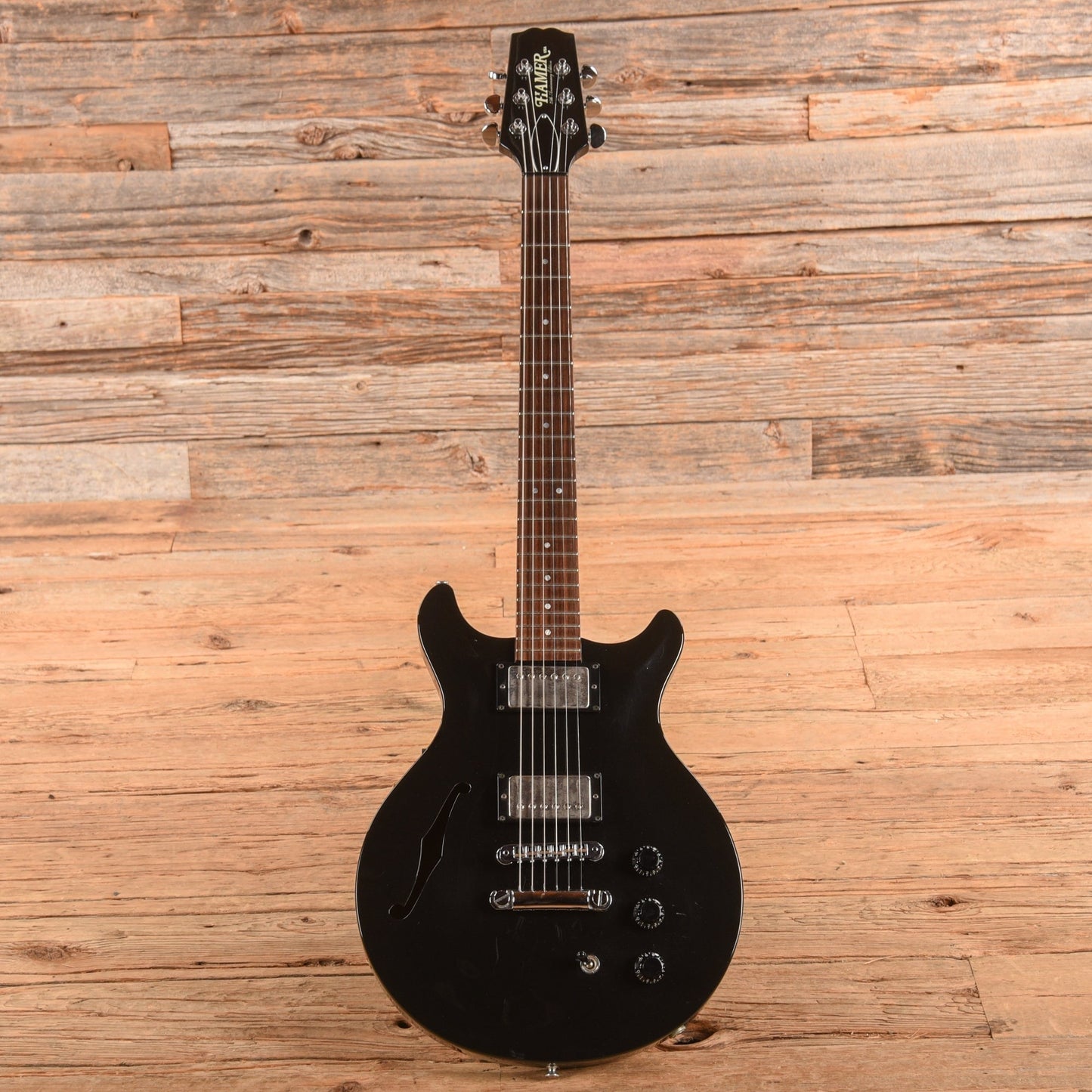 Hamer 25th Anniversary Artist Black