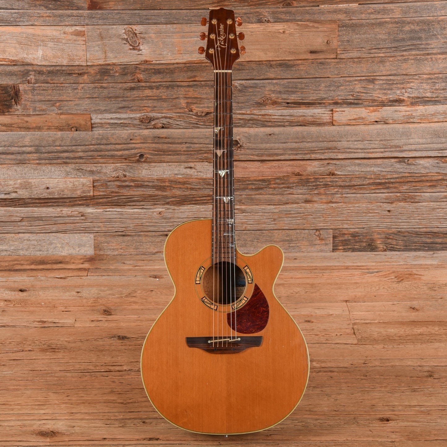Takamine Santa Fe PSF-94 Natural 1994