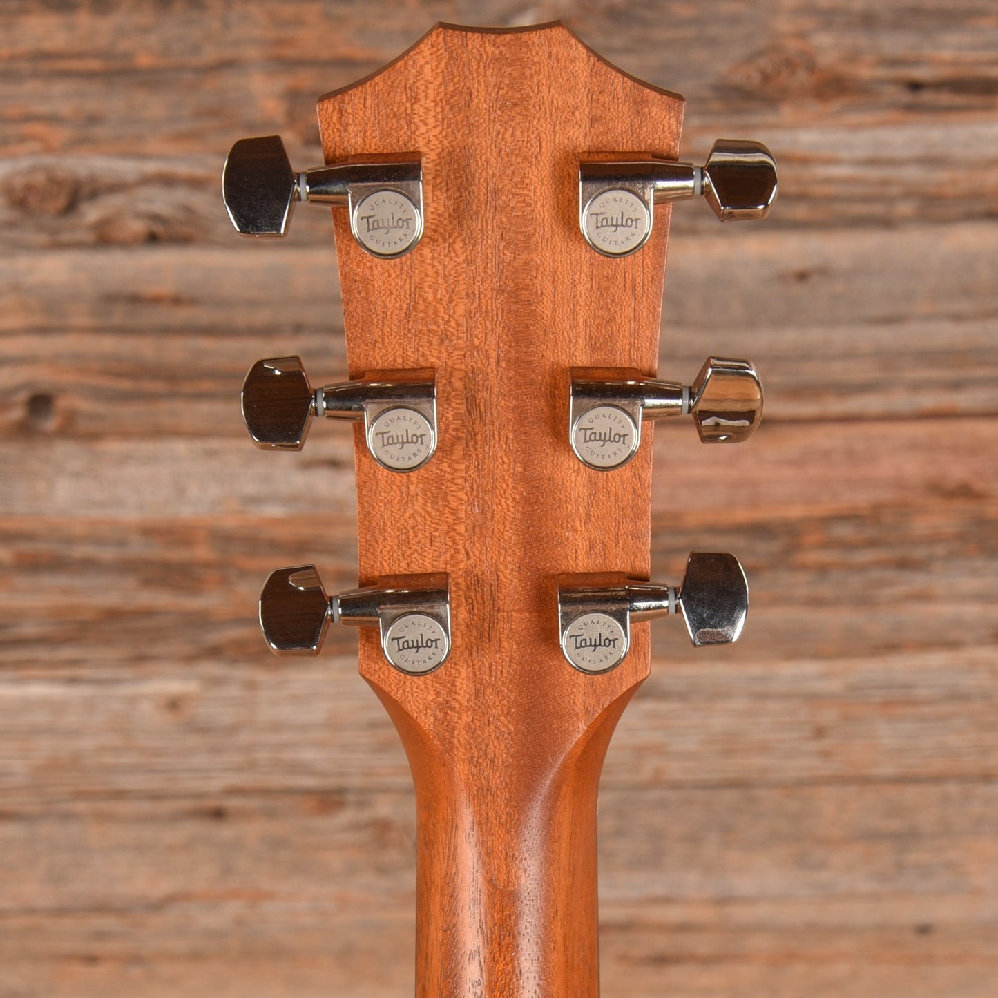 Taylor Taylor 210ce plus Natural 2023