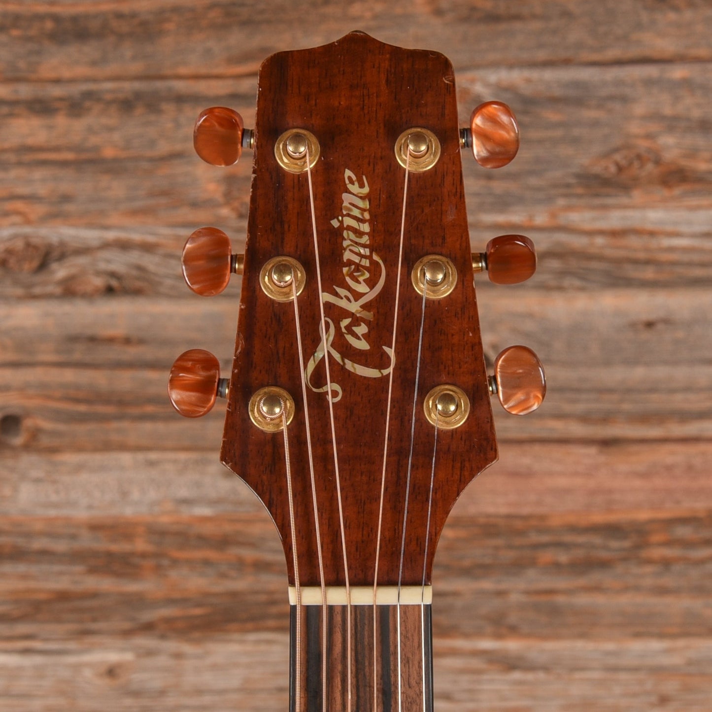 Takamine Santa Fe PSF-94 Natural 1994