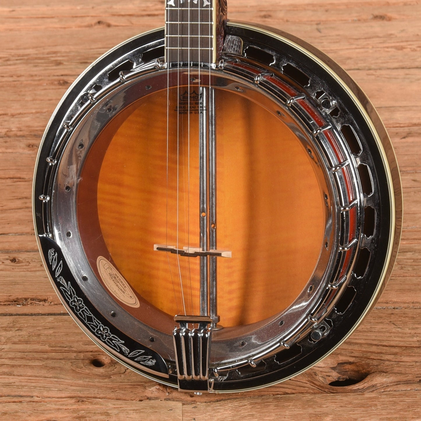 Washburn B-19