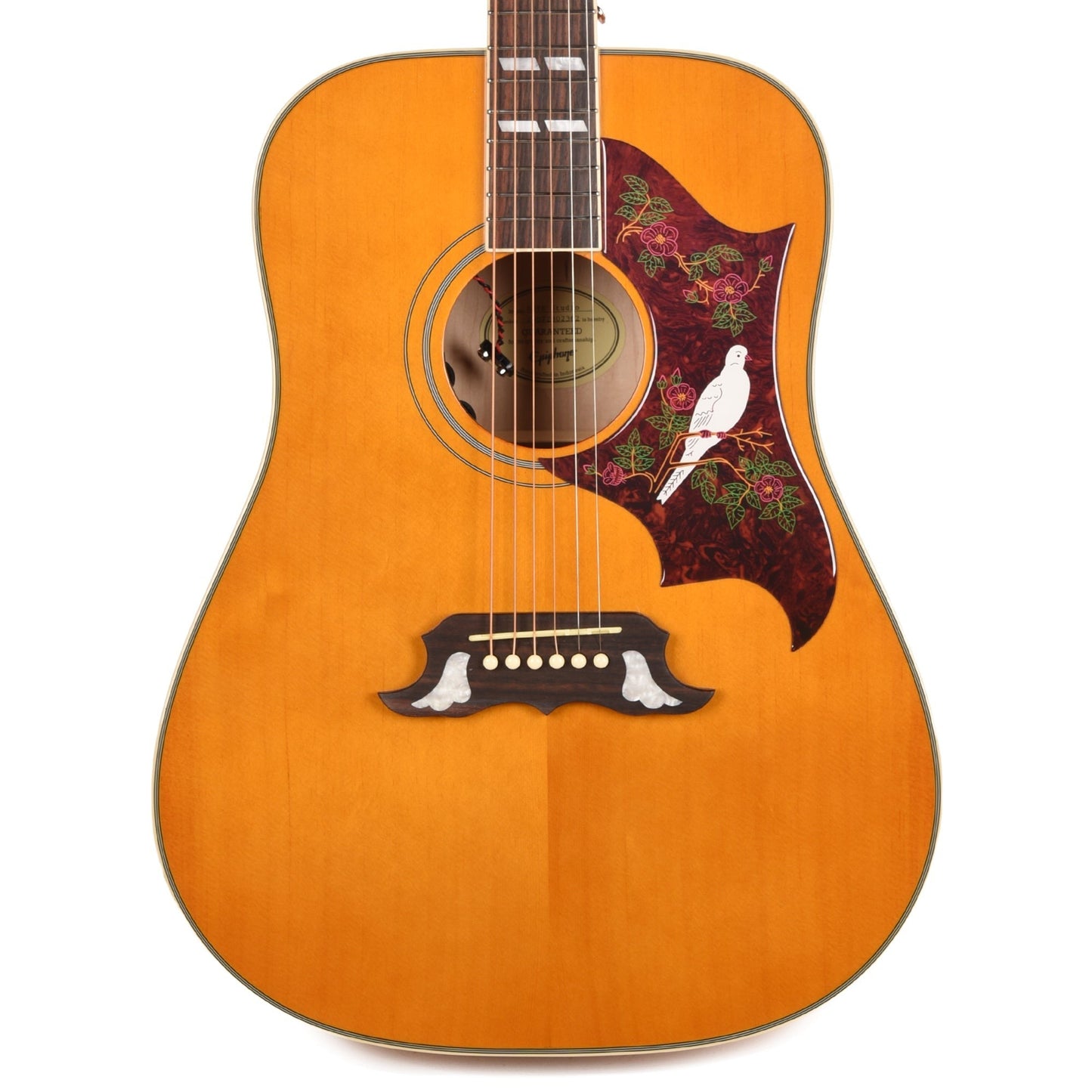 Epiphone Modern Dove Studio Natural