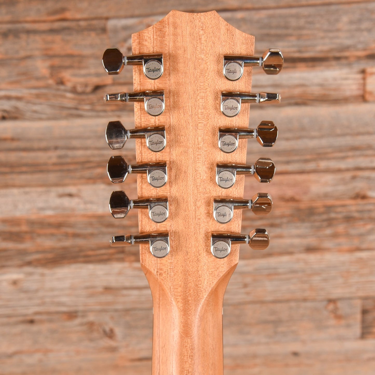 Taylor 254ce Plus Natural 2024