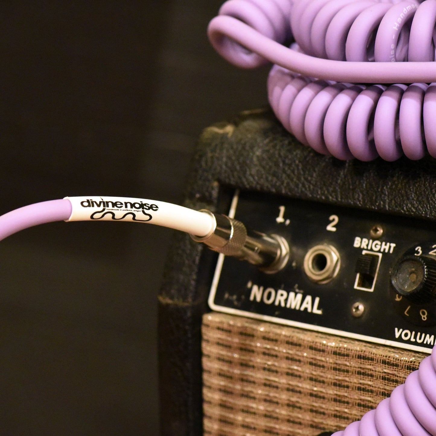 Divine Noise Curly Instrument Cable 30' Straight/Straight Lavender Haze
