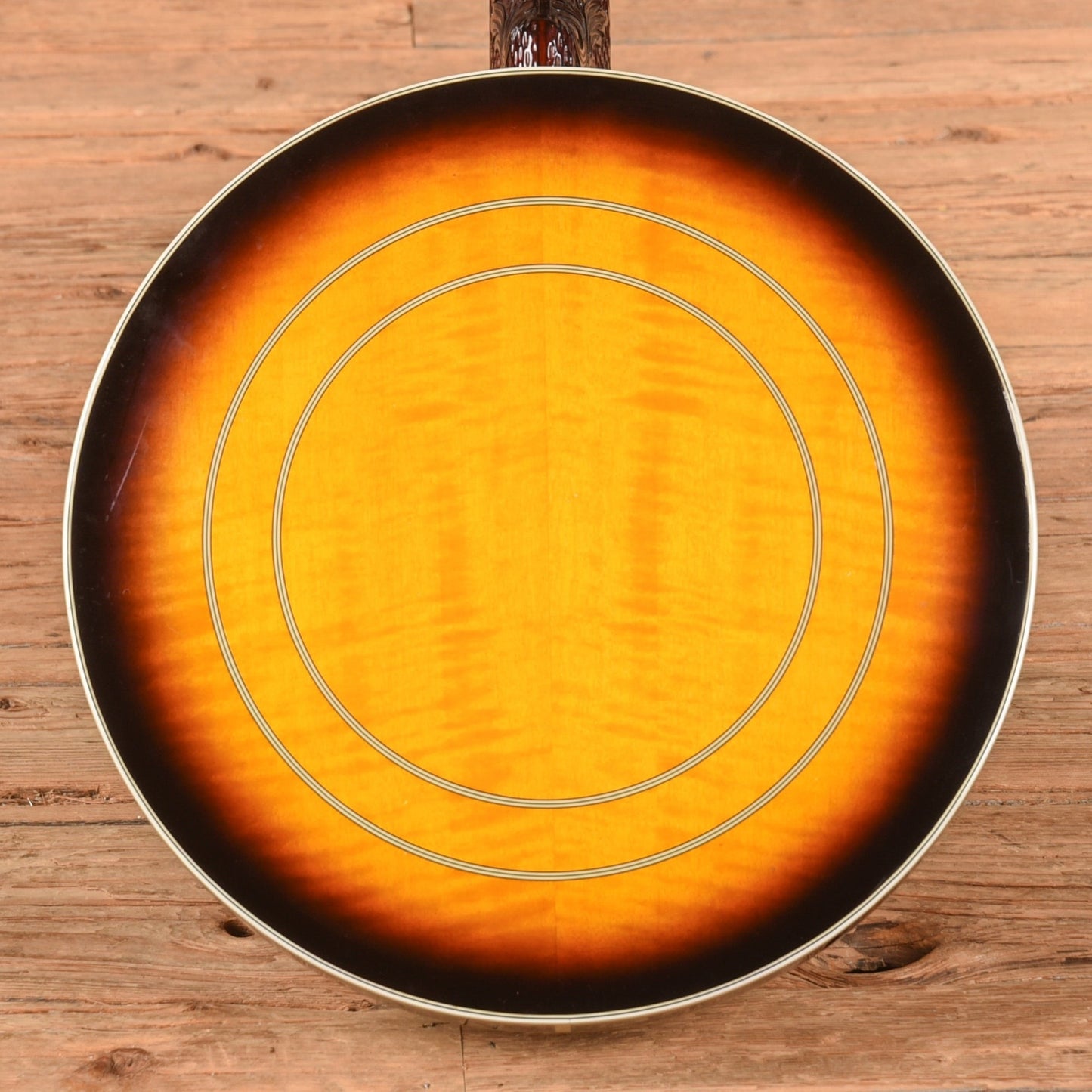 Washburn B-19