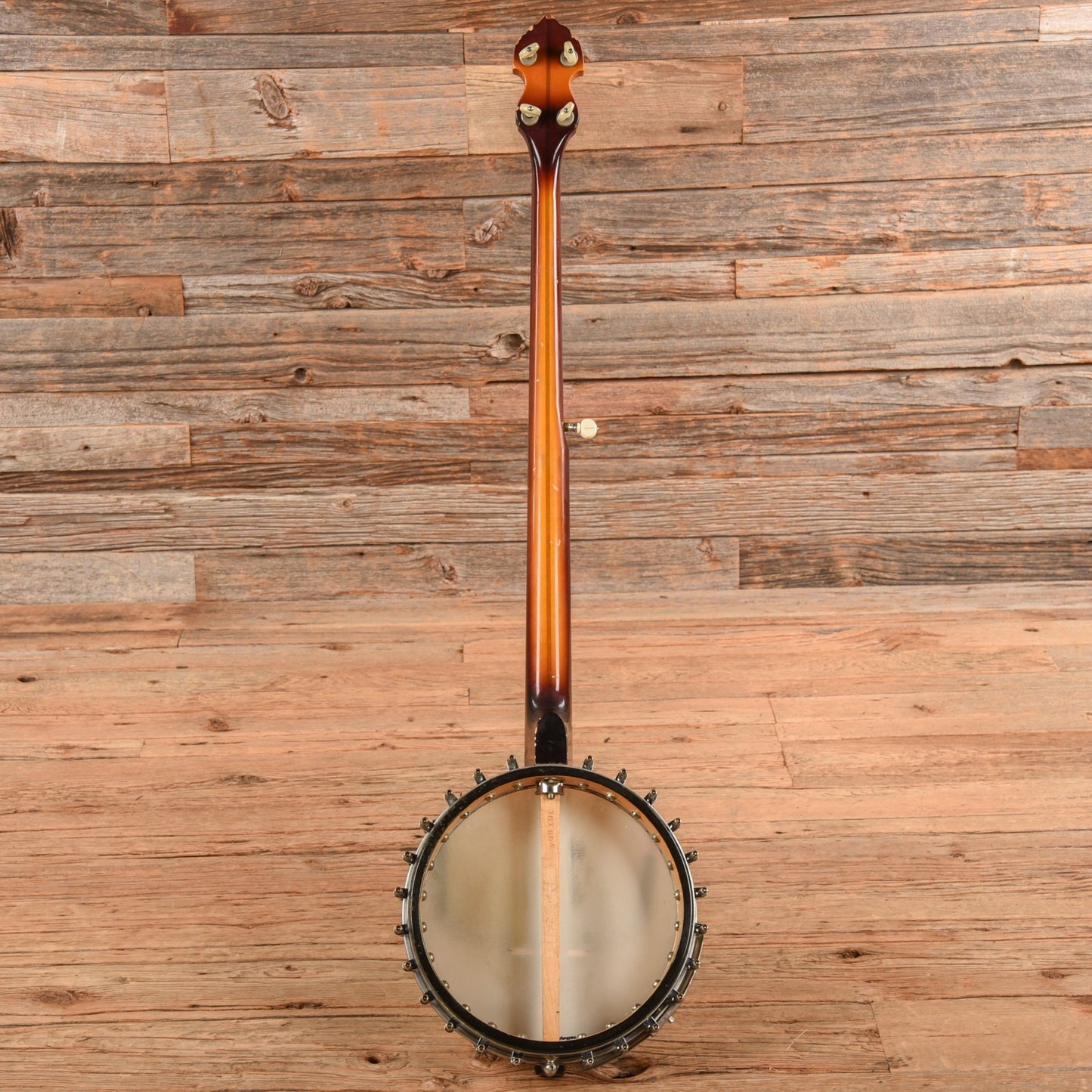 Vega Pete Seeger 1960s
