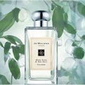 Wood Sage & Sea Salt Cologne