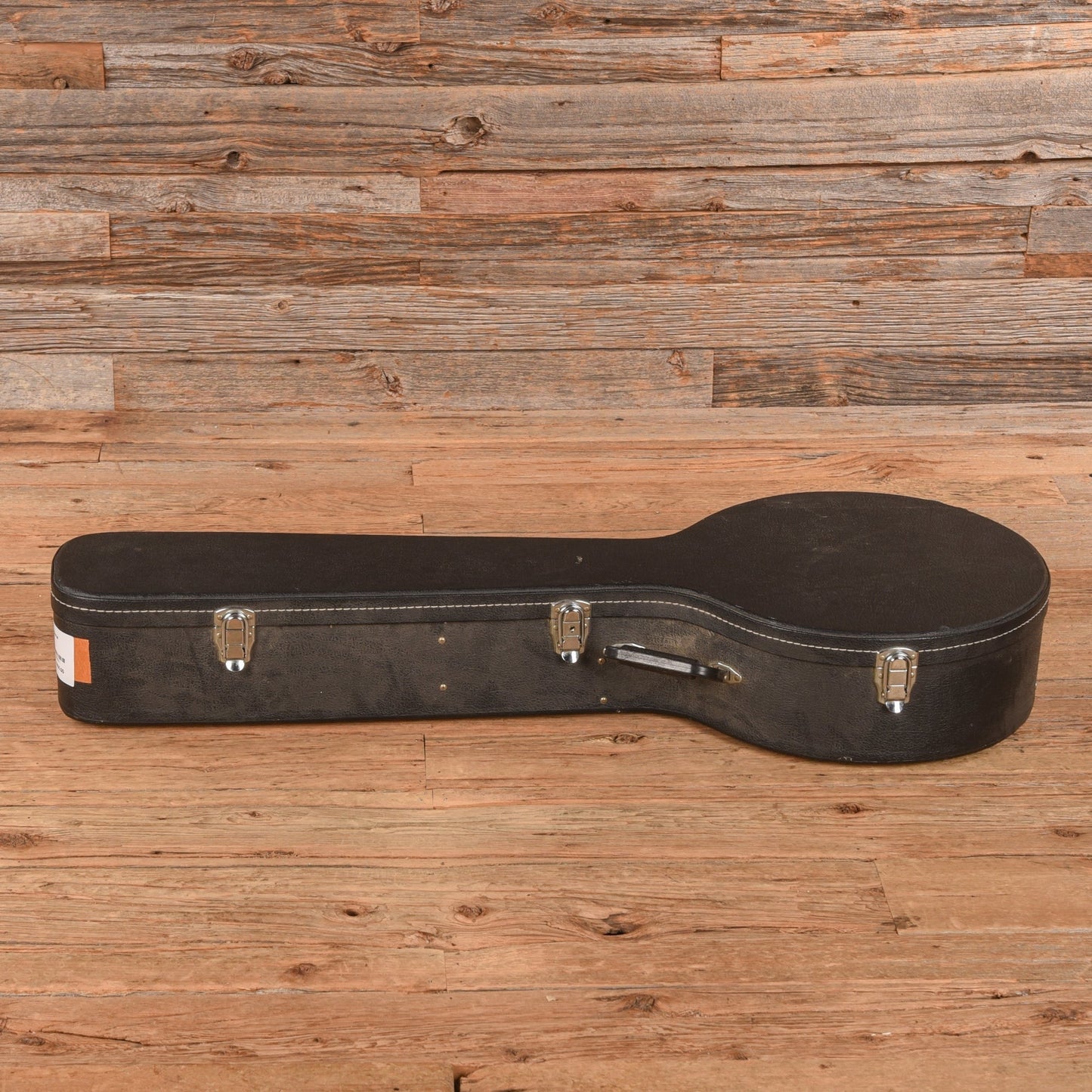 Washburn B-19