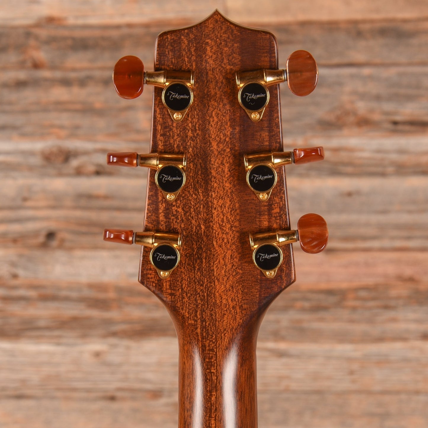 Takamine LTD 99 The Mountain Natural 1999