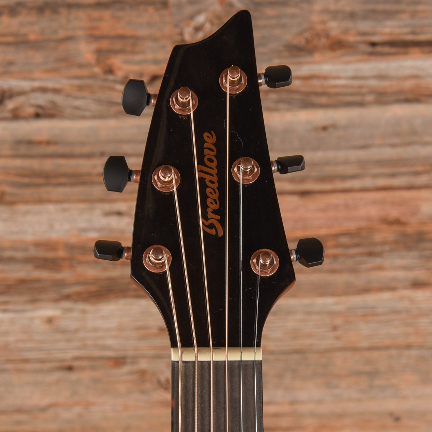 Breedlove Persuit EXS Concert EA CE Murtle Wood Earthsong 2022