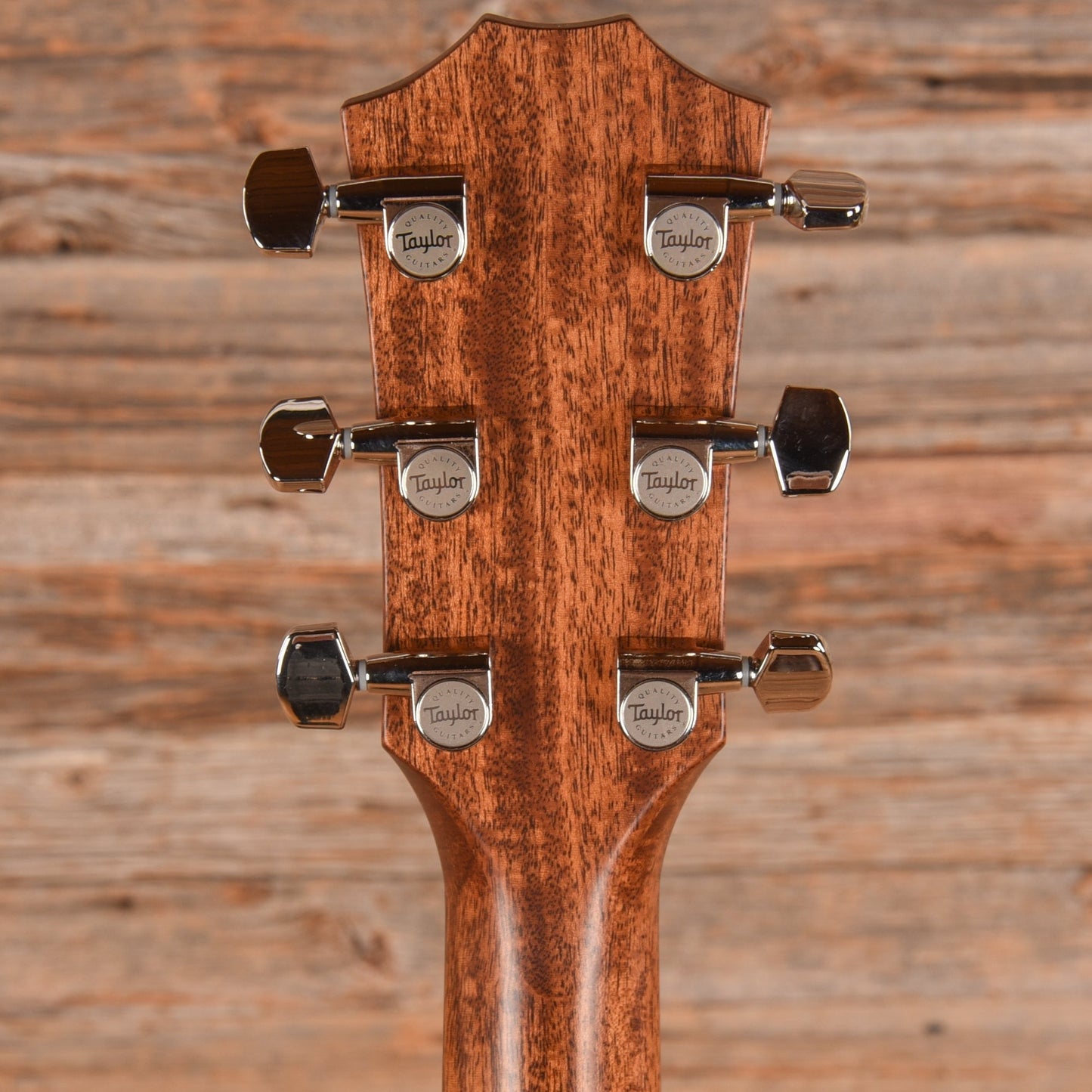 Taylor 317e Natural 2022