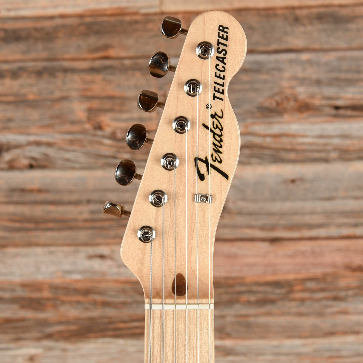 Fender Classic '69 Telecaster Blue Flower 2016