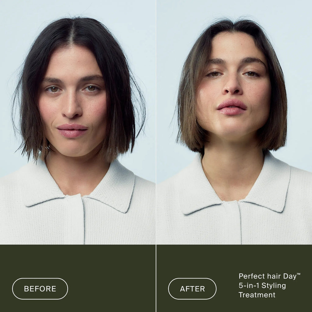 Perfect hair DayTM 5-in-1 Styling Treatment