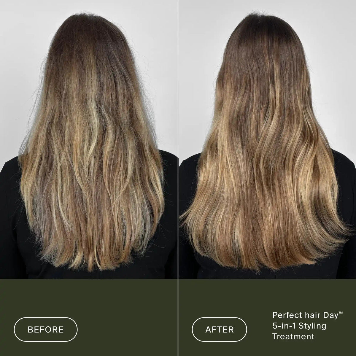Perfect hair DayTM 5-in-1 Styling Treatment