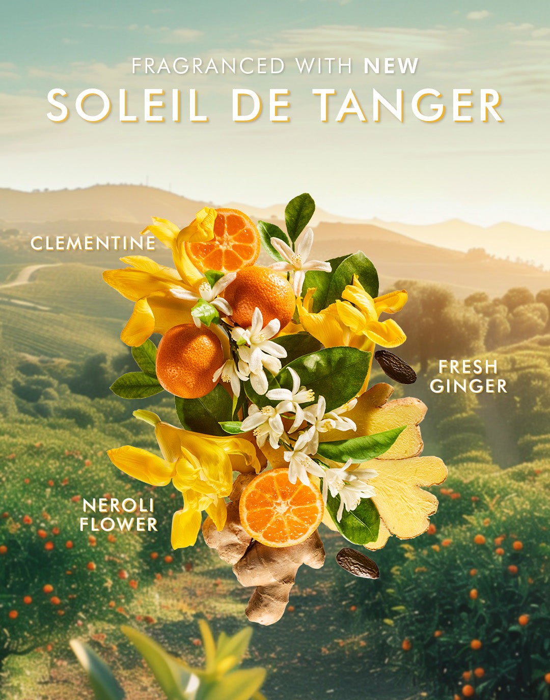 Body Lotion Soleil de Tanger