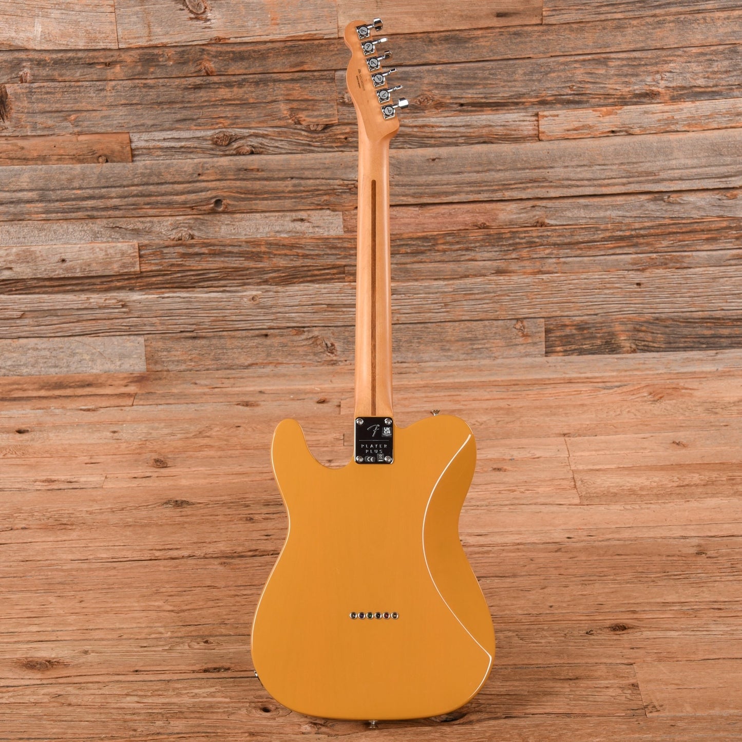 Fender Player Plus Nashville Telecaster Butterscotch Blonde 2024