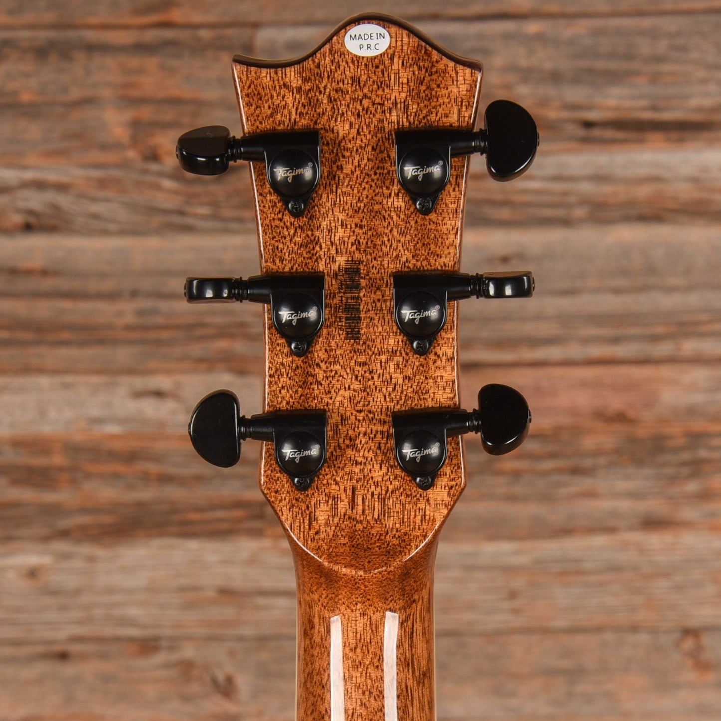 Tagima FS200EQ Natural