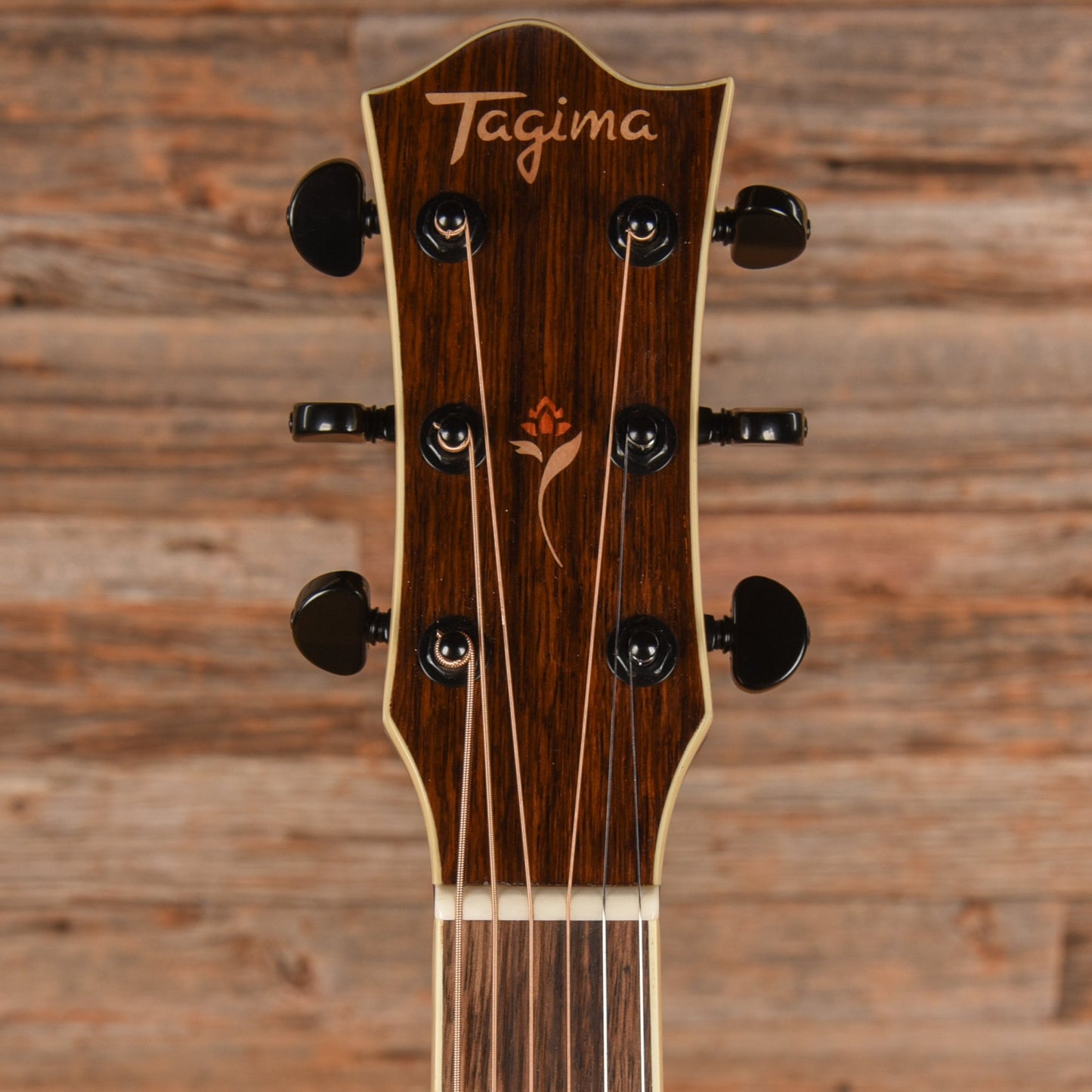 Tagima FS200EQ Natural