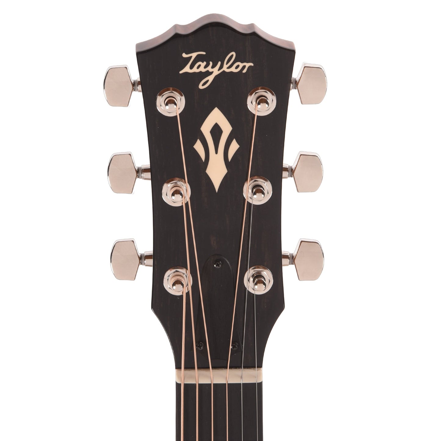 Taylor Gold Label 510e Torrefied Sitka/Mahogany Natural w/L.R. Baggs VTC