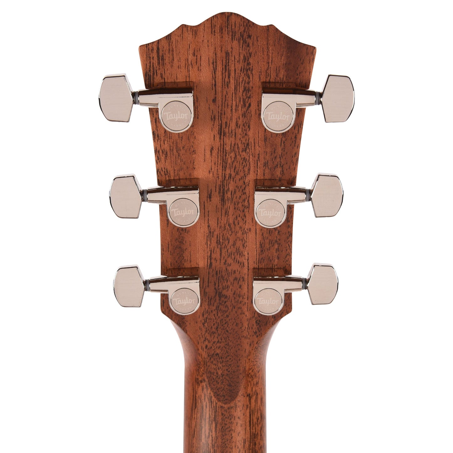 Taylor Gold Label 514e Super Auditorium Torrefied Spruce/Mahogany Natural w/L.R. Baggs VTC