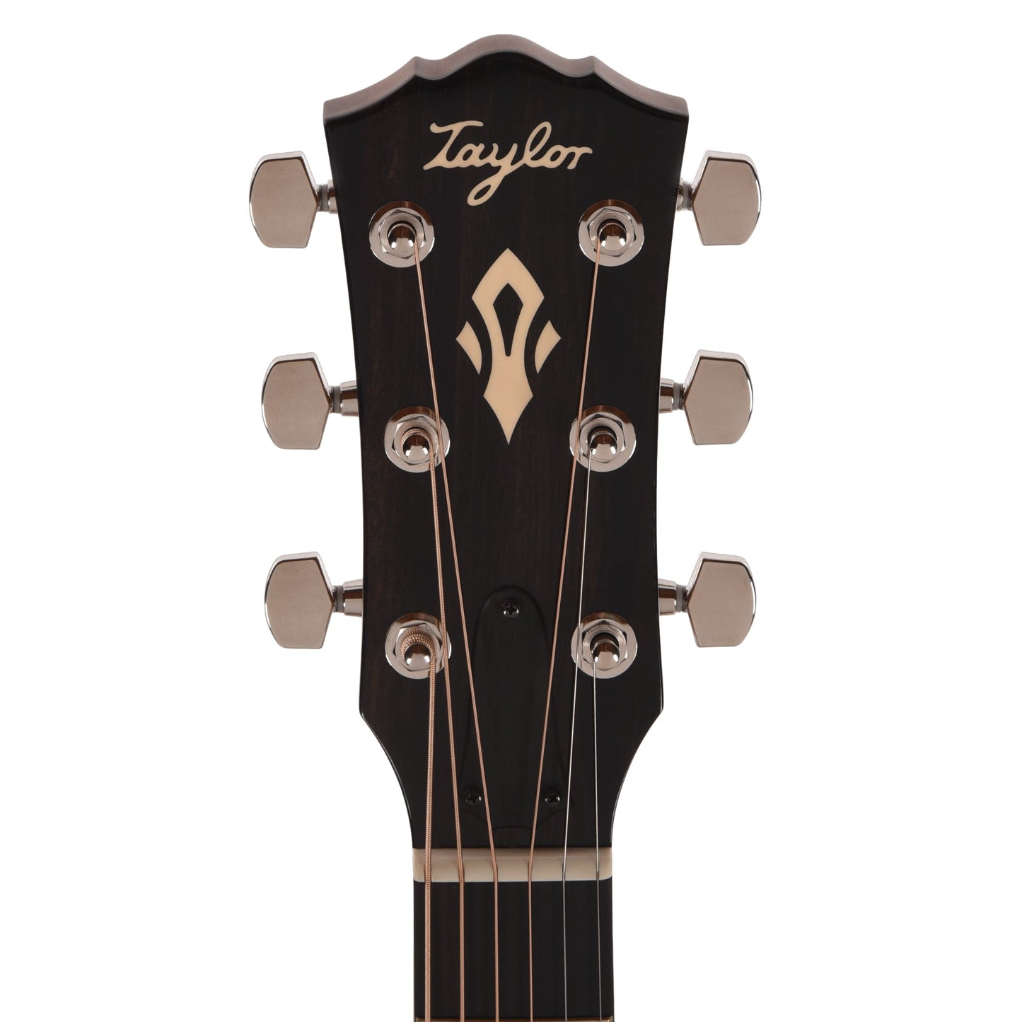 Taylor Gold Label 517e Grand Pacific Torrefied Sitka/Neo-Tropical Mahogany Blacktop w/L.R. Baggs VTC