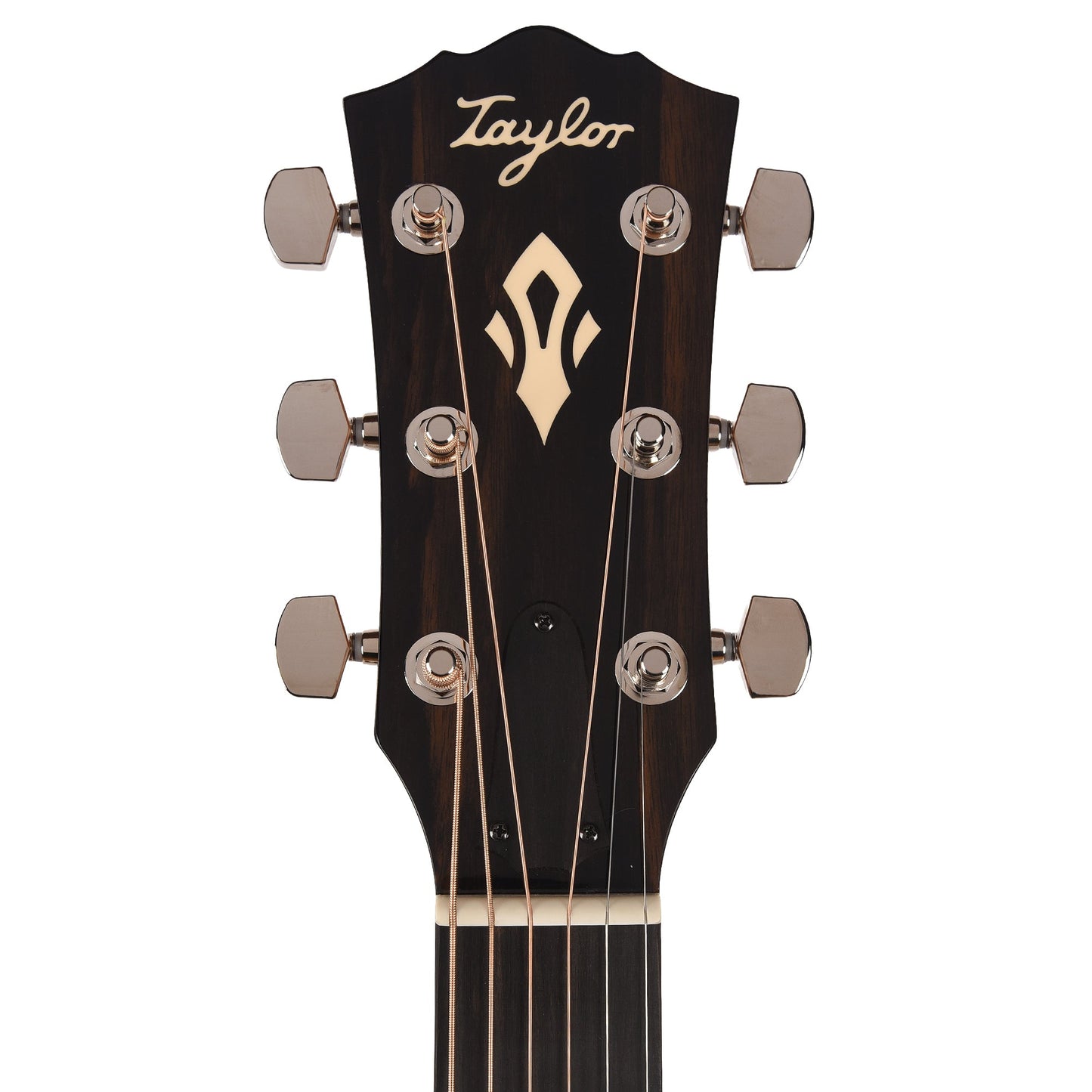 Taylor Gold Label 510e Torrefied Sitka/Mahogany Natural w/L.R. Baggs VTC