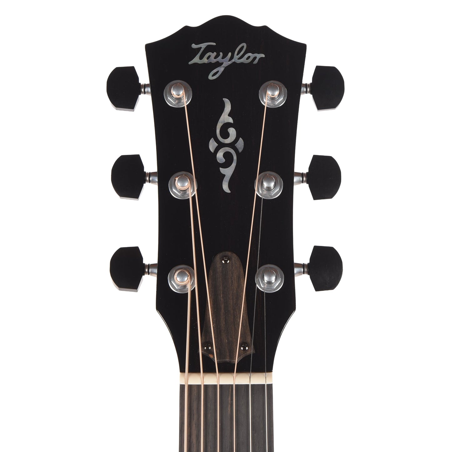 Taylor Gold Label 810e Torrefied Sitka/Honduran Rosewood Natural w/L.R. Baggs VTC