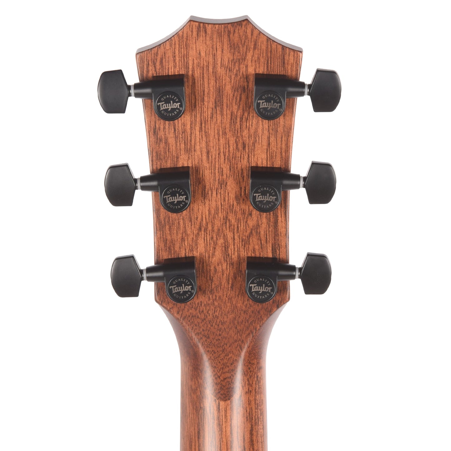 Taylor Next Generation 324ce Grand Auditorium Neo-Tropical Mahogany/Sapele Shaded Edgeburst w/Claria