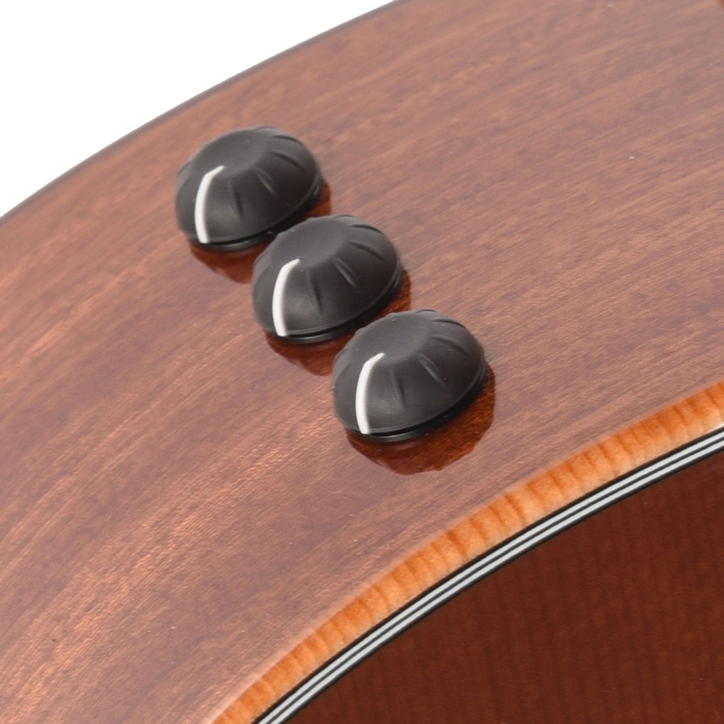 Taylor Next Generation Special Edition 354ce Studio Grand Auditorium Sitka Spruce/Sapele Honeyburst ES2
