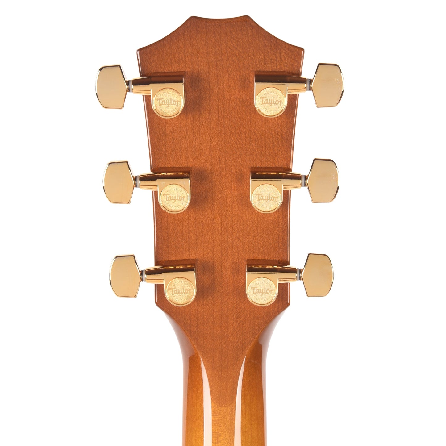 Taylor Special Edition 217e Plus Grand Pacific Torrefied Spruce/Big Leaf Maple Honeyburst ES2