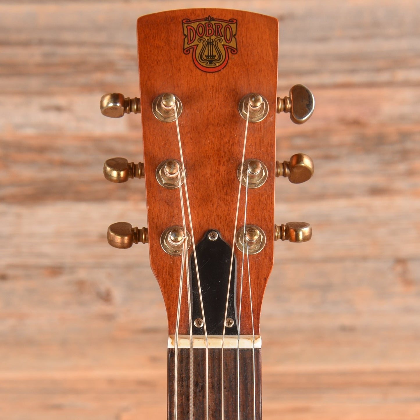 Dobro Hound Dog Round Neck Brown