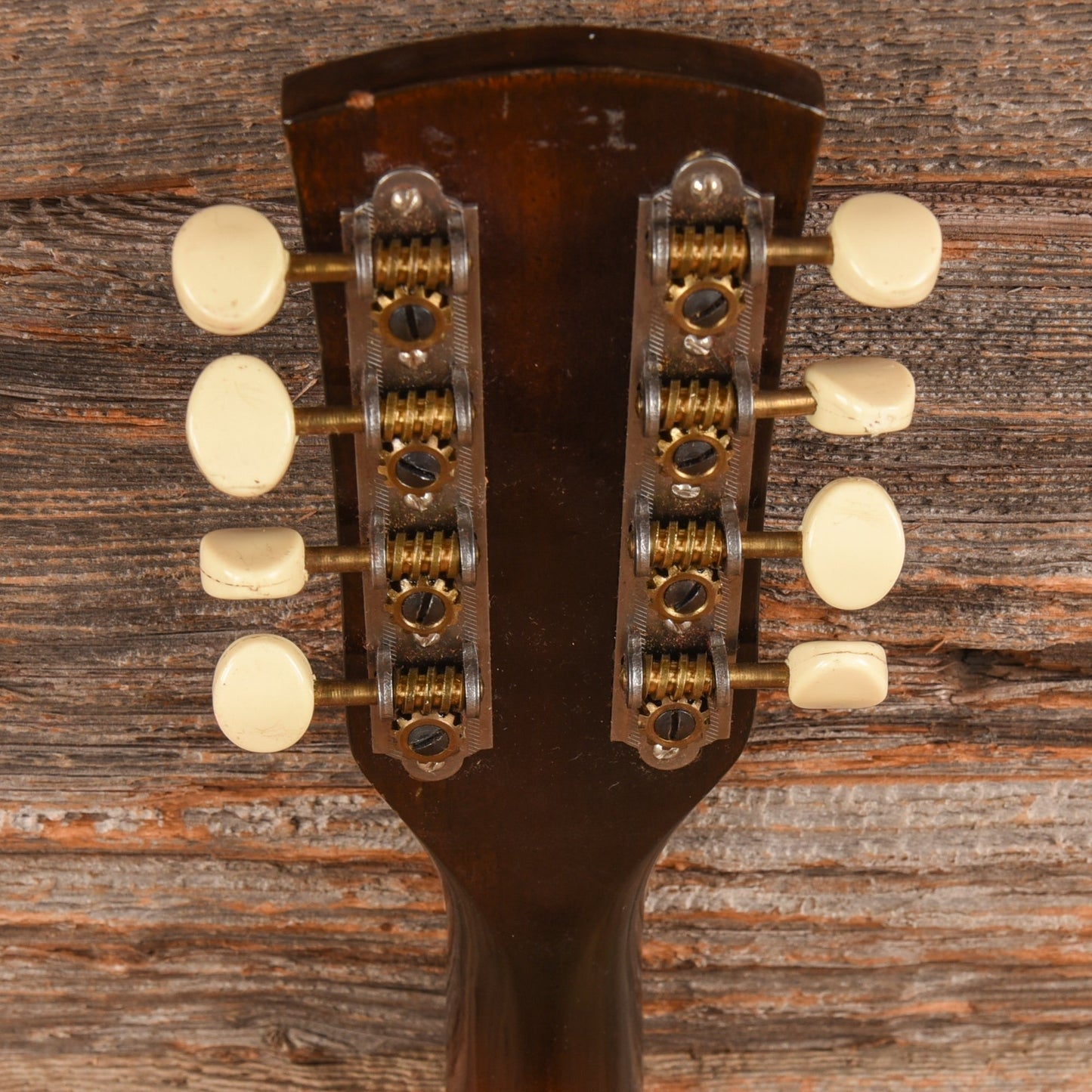 Continental Mandolin 1960s