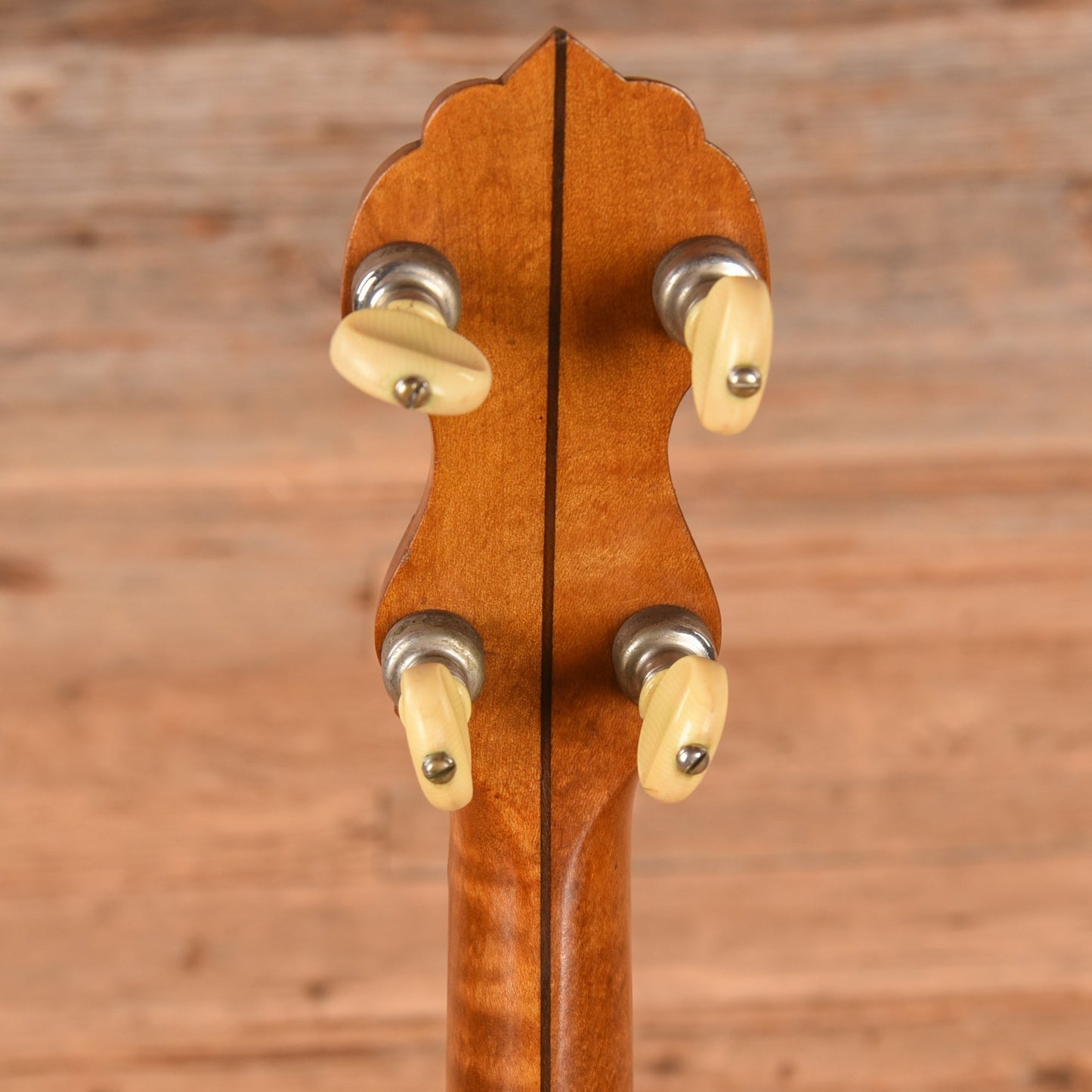 Vega Style M Tenor Banjo 1910