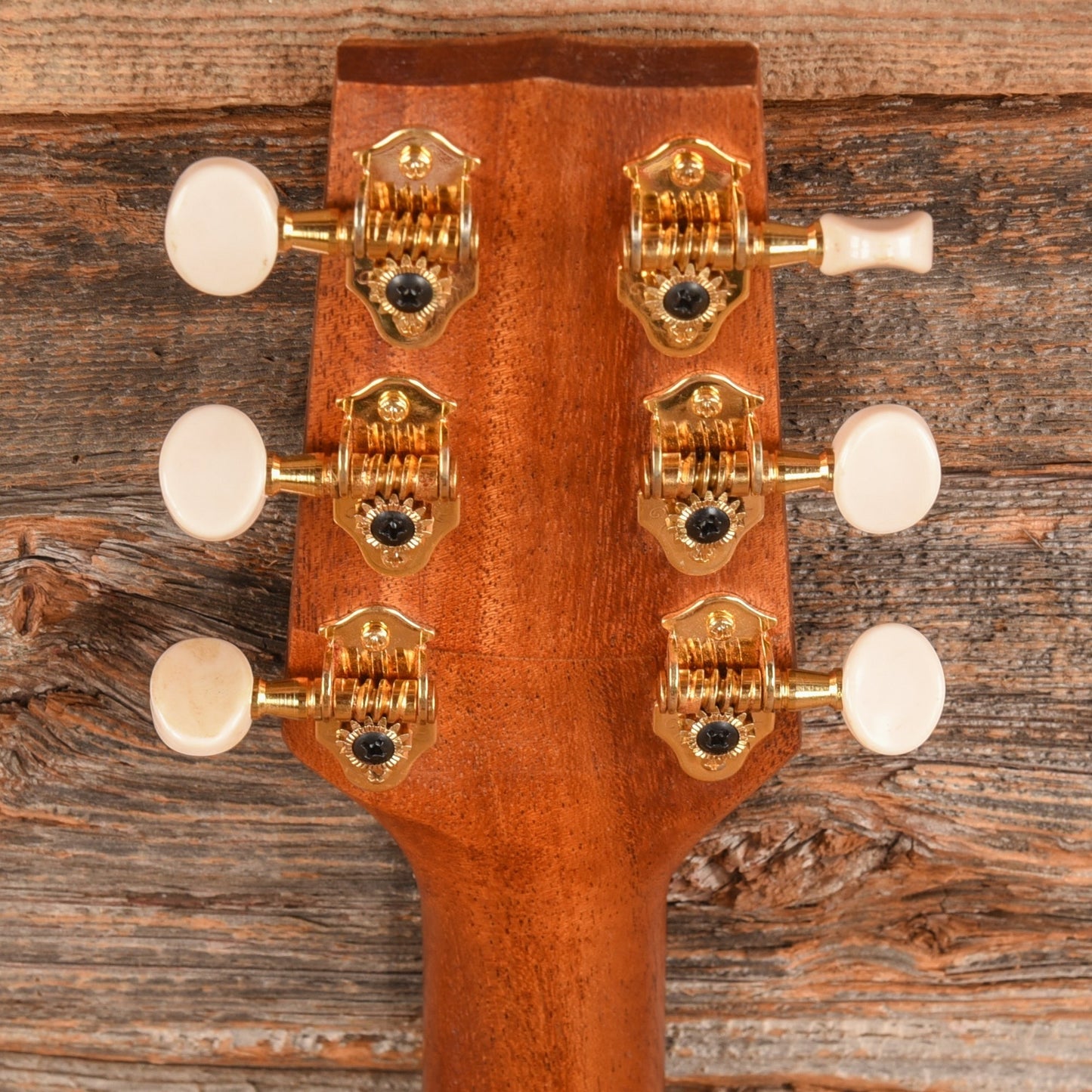 Ho'okipa Mango Six String Tenor Natural