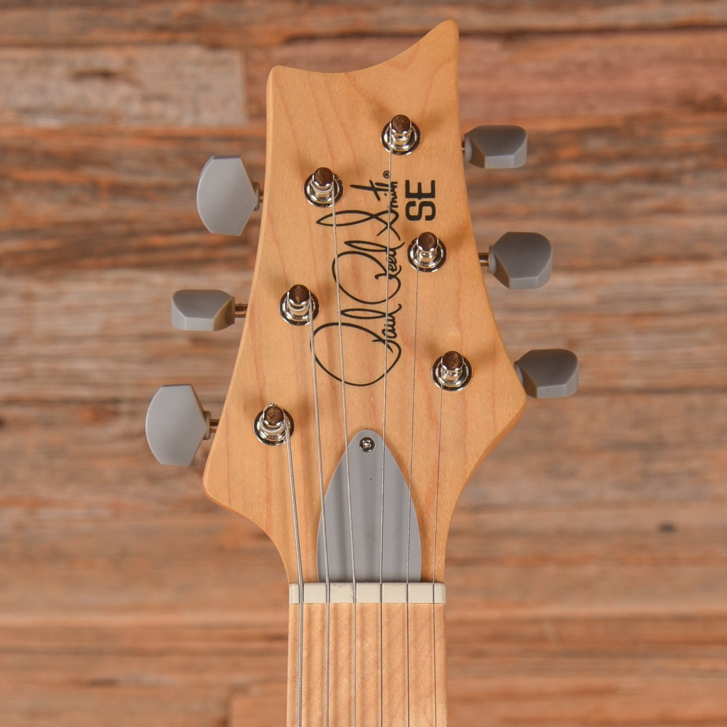 PRS SE Silver Sky Overland Grey 2024