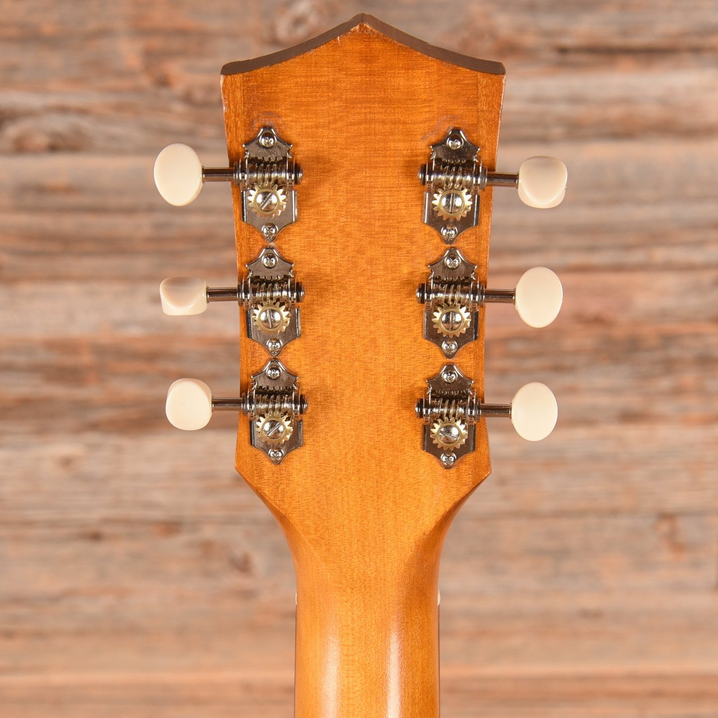 Harmony H162 X-Brace Conversion Natural 1969