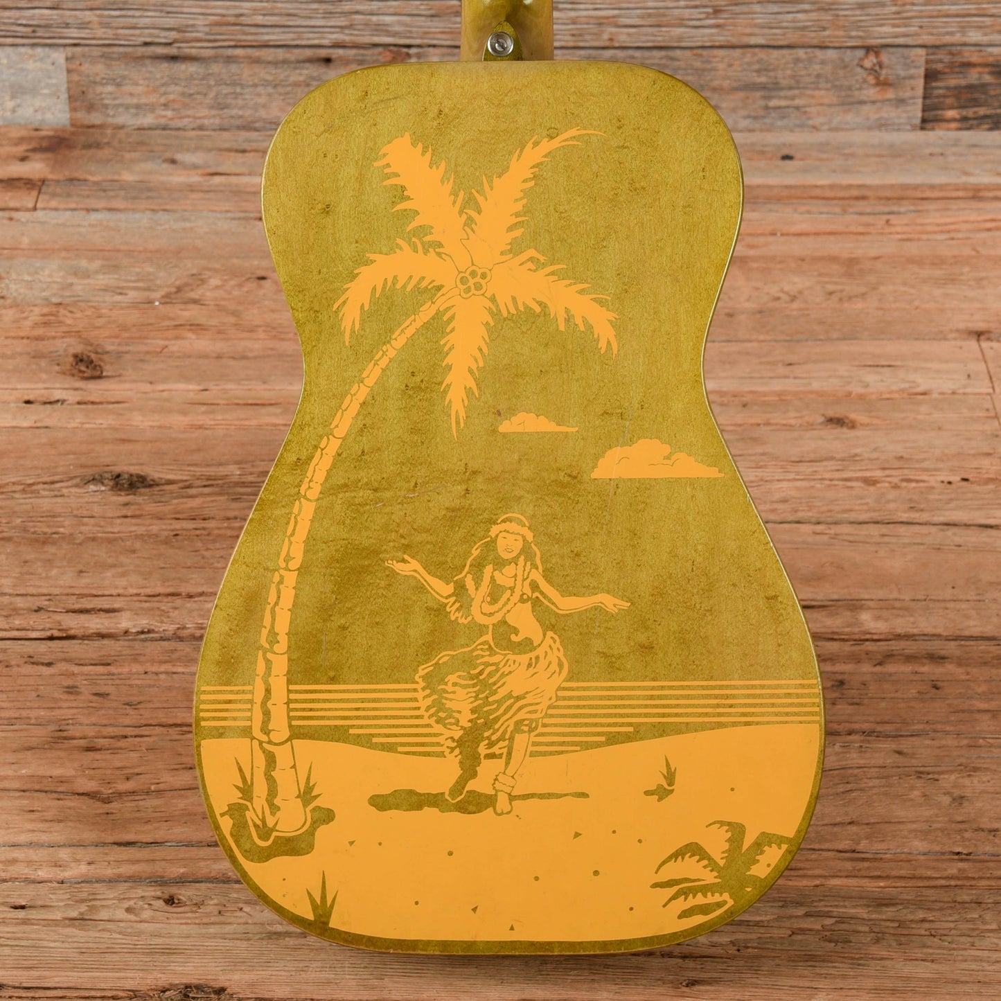 Dobro Hula Blues Duolian Olive 1988