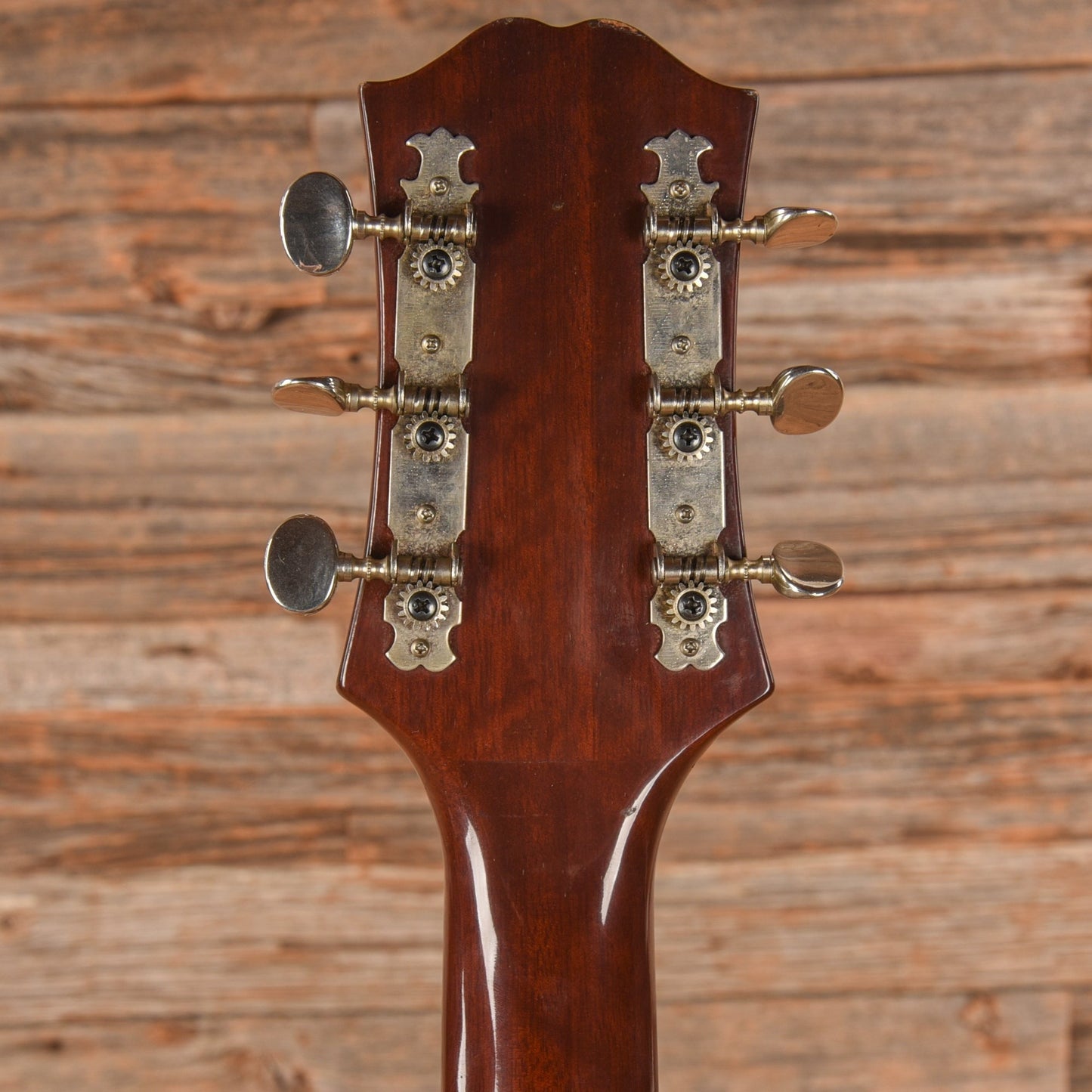 Epiphone FT-130 Caballero Natural 1970s