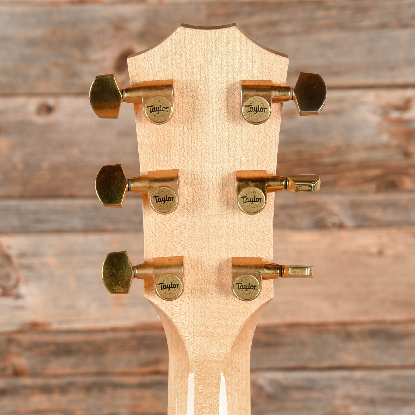 Taylor GS Natural 2008