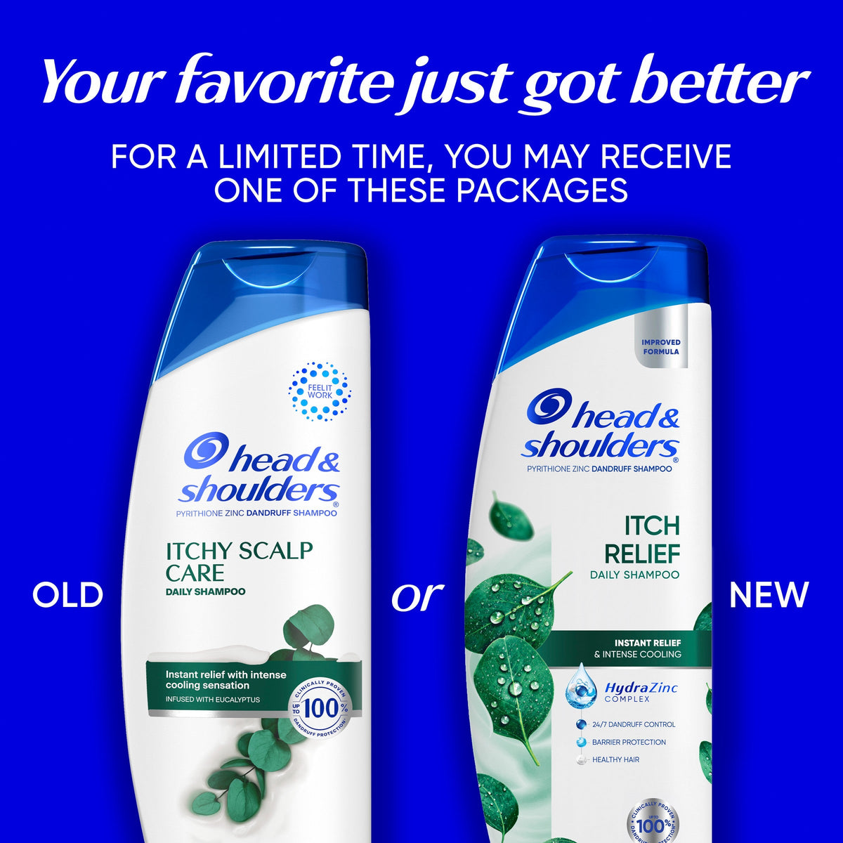 Itch Relief Dandruff Shampoo, 24/7 Protection, Zinc Pyrithione