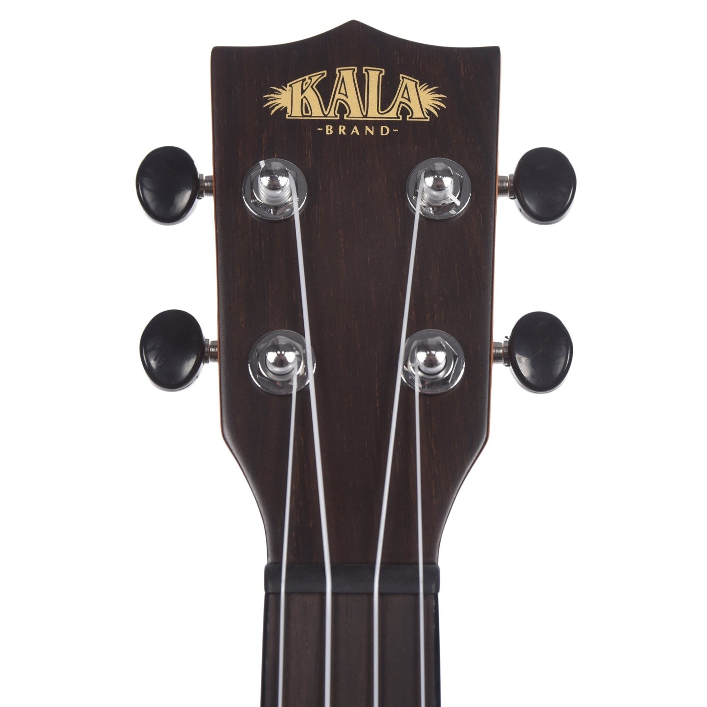 Kala KA-ZCT-T Tenor Ukulele Gloss Ziricote